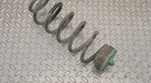 Rear coil spring