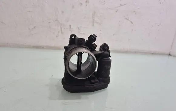 Citroen C-Crosser Throttle valve 