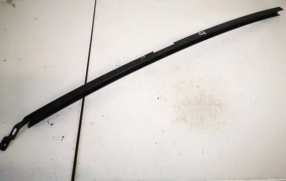 Front door glass trim molding