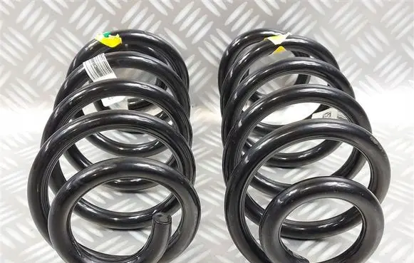 Ford Kuga III Rear coil spring LX61-5560-EPA