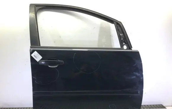 Ford Focus C-MAX Front door