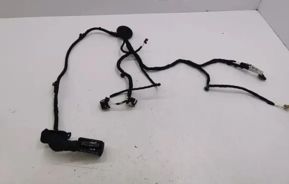 Volkswagen Golf VIII Rear door wiring loom 5H9971693L