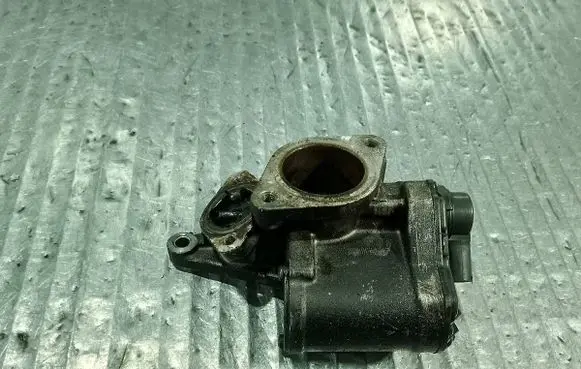 Suzuki Grand Vitara II EGR valve A2C53025930