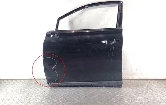 Lexus RX III Front door 6700248110