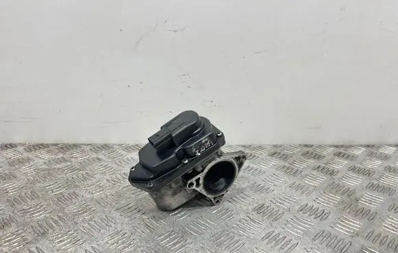 EGR valve