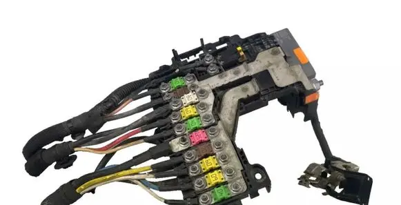 Peugeot 508 Positive wiring loom 9665877980