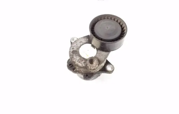 Infiniti Q70 Y51 Timing belt/chain tensioner 11955HG00A