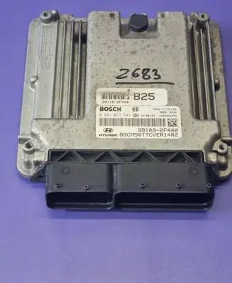 Hyundai Santa Fe Engine control unit/module 391182F440 391032F440 0281017541