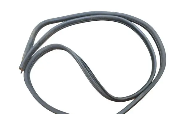 Renault Trafic III (X82) Front door rubber seal