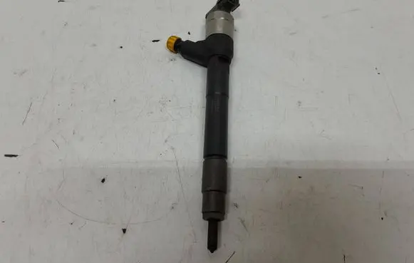 Opel Insignia A Fuel injector 55570012