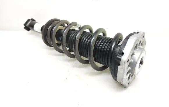 BMW X3 G01 Rear shock absorber with coil spring 6871801