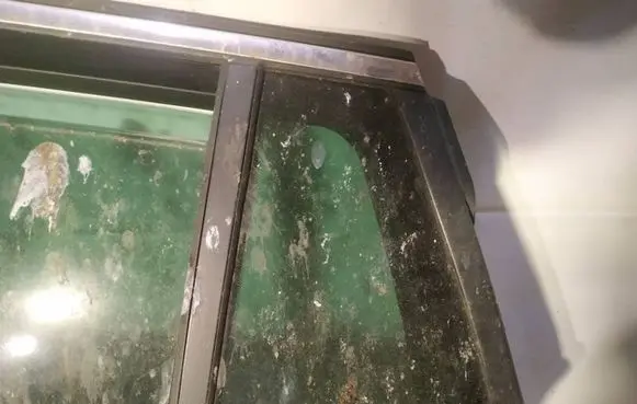 Rear vent window glass