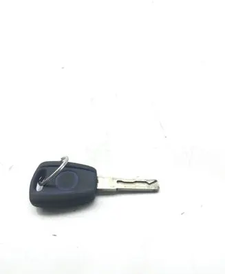 Fiat Doblo Ignition key/card 