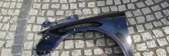 Audi RS3 Fender 