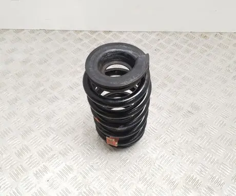 Rear coil spring