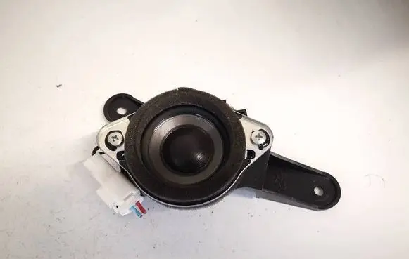 Front door speaker
