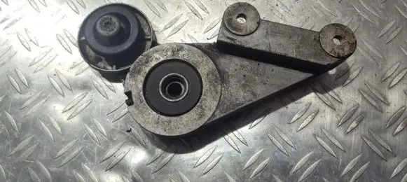 Volvo 850 Generator/alternator belt tensioner 1271914 550010
