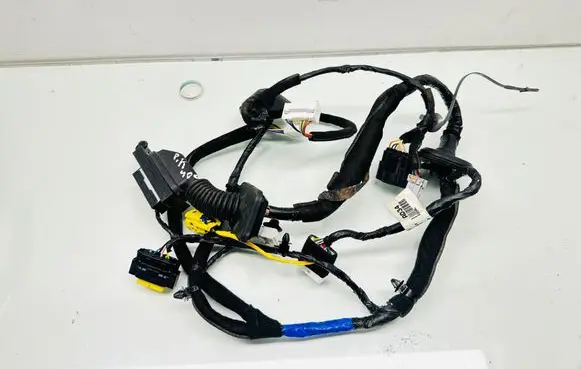 Front door wiring loom