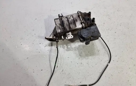 Volkswagen Transporter - Caravelle T6 EGR valve cooler 04L131512CF PLTE410F8Y2A01 7771602