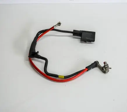 Positive wiring loom