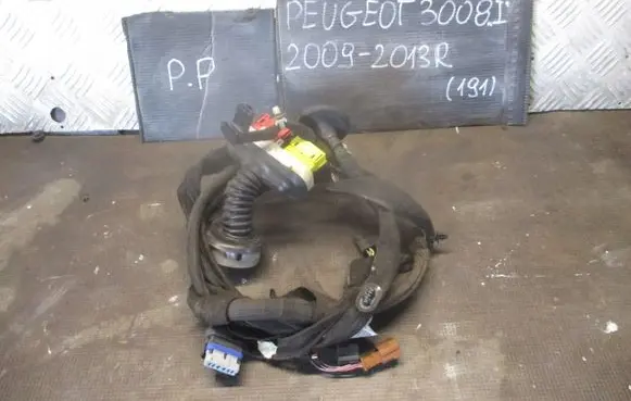 Peugeot 3008 I Front door wiring loom 9672304480