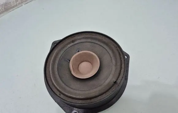Rear door speaker