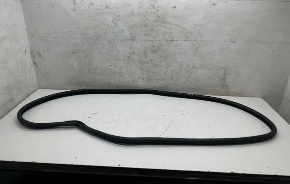 BMW 5 F10 F11 Rear door rubber seal (on body)