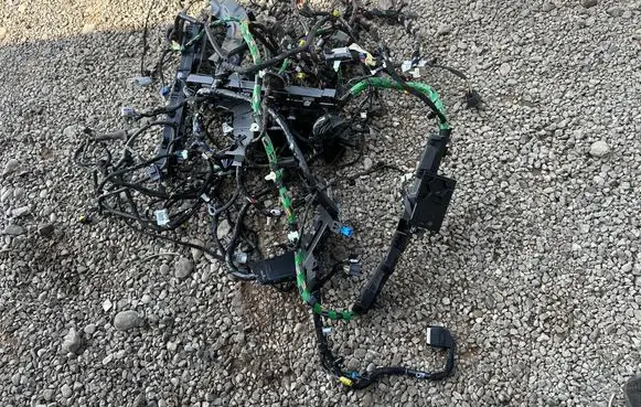 Other wiring loom