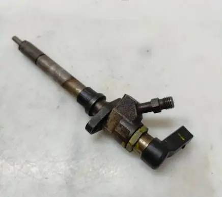 Peugeot 307 Fuel injector 9658194180