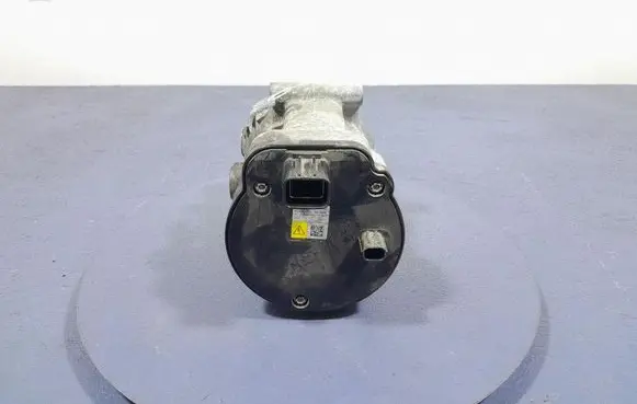 Suzuki Swace Air conditioning (A/C) compressor (pump) 0424001201