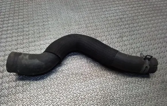 Citroen Berlingo Engine coolant pipe/hose