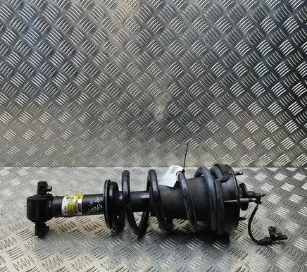 Cadillac Escalade Front shock absorber/damper 84176636