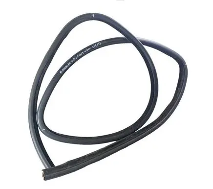 Dodge Charger Rear door rubber seal (on body) 