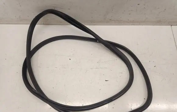 MG ZS Front door rubber seal