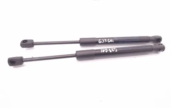 Tailgate/trunk strut/damper