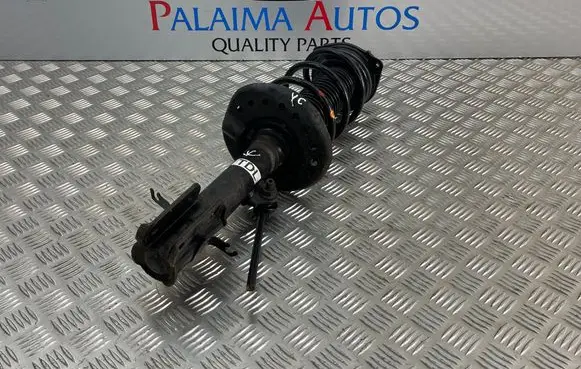 Nissan Juke I F15 Front shock absorber/damper 