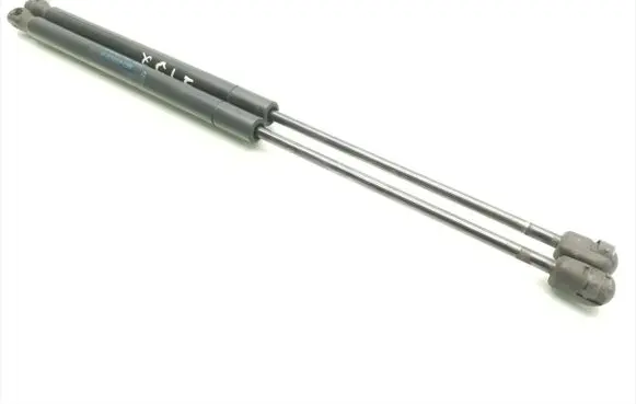 Tailgate/trunk strut/damper
