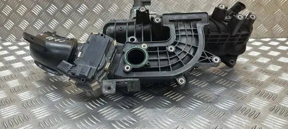 Chevrolet Captiva Intake manifold 25189093 0284006052 1813380499
