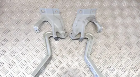 Nissan Leaf II (ZE1) Engine bonnet/hood hinges 