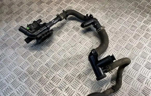 Thermostat/thermostat housing