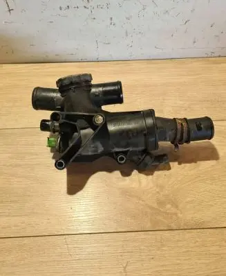 Thermostat/thermostat housing