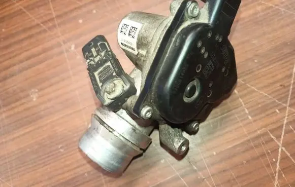 Renault Megane III Throttle valve 8200614985