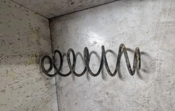 Citroen C3 Pluriel Rear coil spring