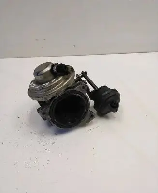 Volkswagen Golf IV EGR valve 038131501E 204223108