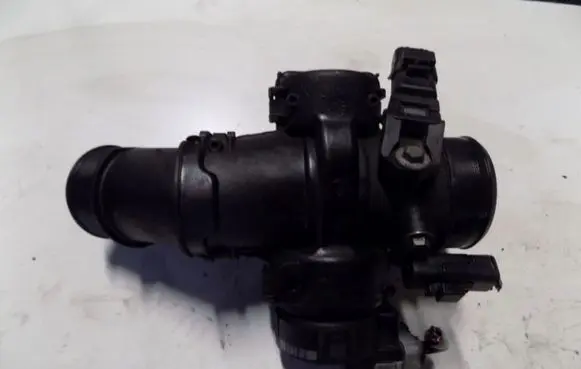 Citroen Berlingo Throttle valve
