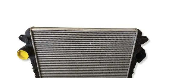 Volkswagen Sharan Intercooler radiator 7M3145804 1686617