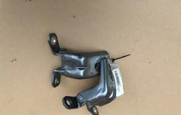 Nissan Maxima A36 Front door hinge set 