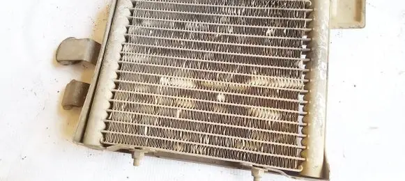 Volkswagen PASSAT B5 Coolant radiator