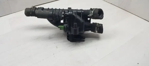 Thermostat/thermostat housing