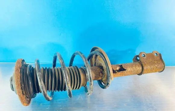 Opel Signum Front shock absorber with coil spring
